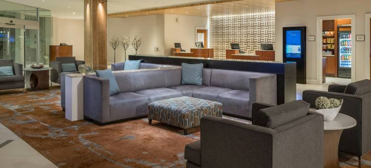 达拉斯喜来登画廊酒店(Sheraton Dallas Hotel by the Galleria)图片