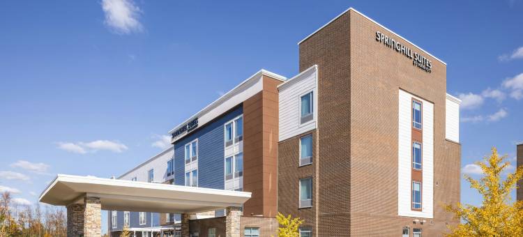 底特律斯特林海茨万豪SpringHill酒店(SpringHill Suites by Marriott Detroit Sterling Heights)图片