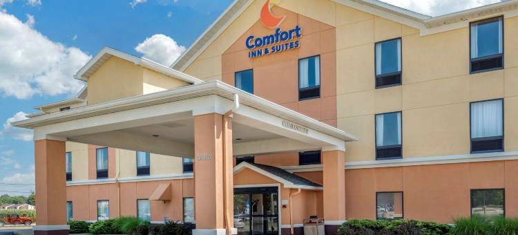 舒适套房酒店(Comfort Inn & Suites)图片