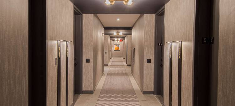 泽西市艺术区希尔顿嘉悦里酒店(Canopy by Hilton Jersey City Arts District)图片