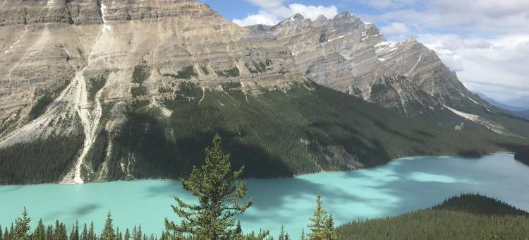 睡眠结住宿加早餐旅馆(Sleep EZE Accommodations)图片