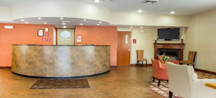 舒适套房酒店-黄金群岛(Comfort Suites Golden Isles Gateway)图片