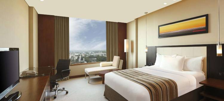 浦那金格希尔顿逸林酒店(DoubleTree by Hilton Pune - Chinchwad)图片