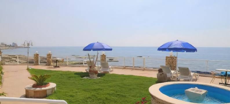 蓝色白色(Le Blanc Bleu)图片