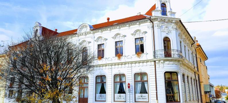 普拉哈民宿酒店(B&B Hotel Praha)图片