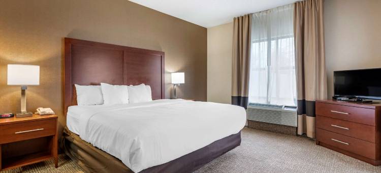 舒适酒店(Comfort Inn)图片