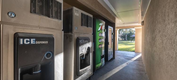 圣奥古斯丁红顶PLUS酒店(Red Roof Plus+ St Augustine)图片