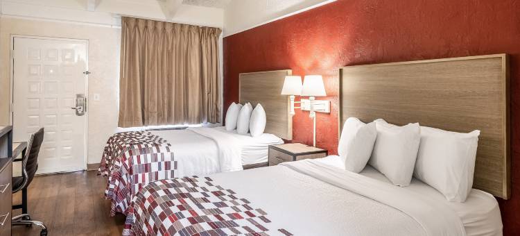 圣彼得堡坦帕湾红顶酒店(Red Roof Inn Tampa Bay - St. Petersburg)图片
