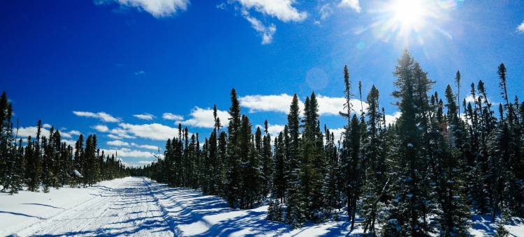 Holiday Inn Express & Suites New Liskeard by IHG图片