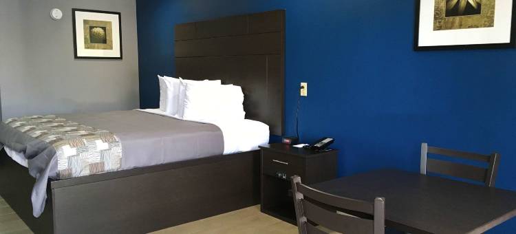巴吞鲁日德纳姆斯普林斯美洲最佳价值酒店(Americas Best Value Inn Denham Springs)图片