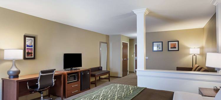 舒适套房酒店(Comfort Inn & Suites Zachary)图片