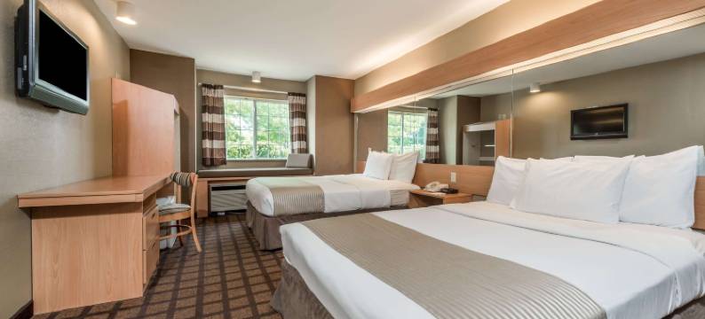 西切斯特温德姆麦客达酒店(Microtel Inn & Suites by Wyndham West Chester)图片