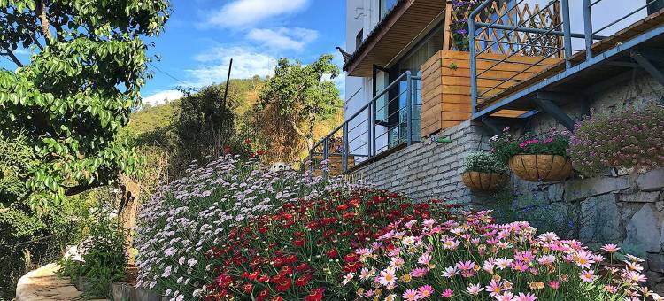 闻留小院(海南路分店)图片