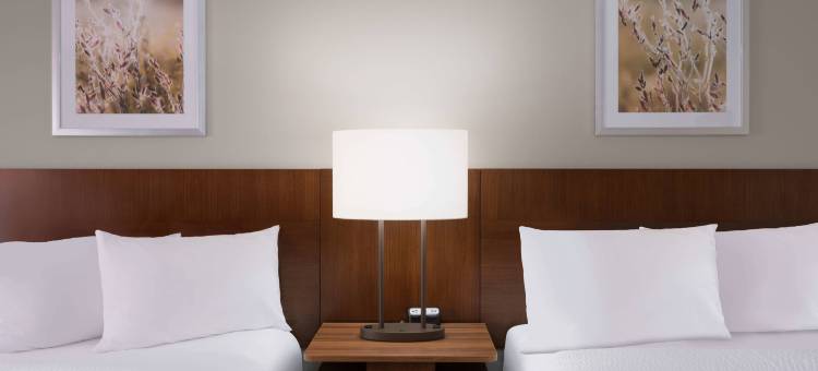 奥斯汀南万枫酒店及套房(Fairfield Inn & Suites Austin South)图片