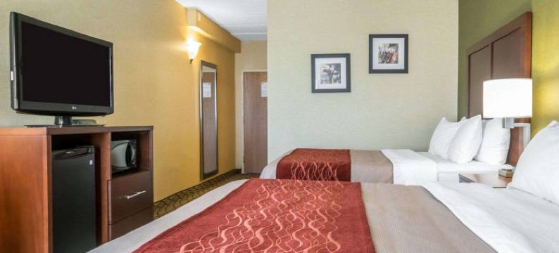 舒适酒店(Comfort Inn)图片