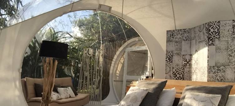 布瓦谢里泡泡小屋(Bubble Lodge Bois Chéri Plantation)图片