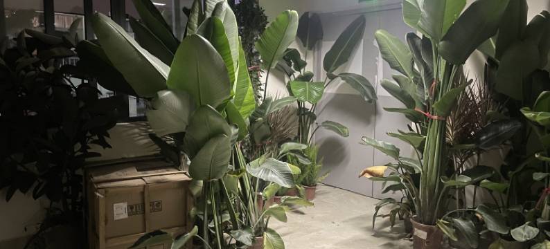 佳遇HUX民宿(燎原路分店)图片