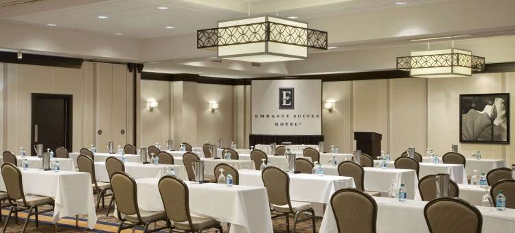 希尔顿安泊酒店-圣路易斯机场(Embassy Suites by Hilton St. Louis Airport)图片