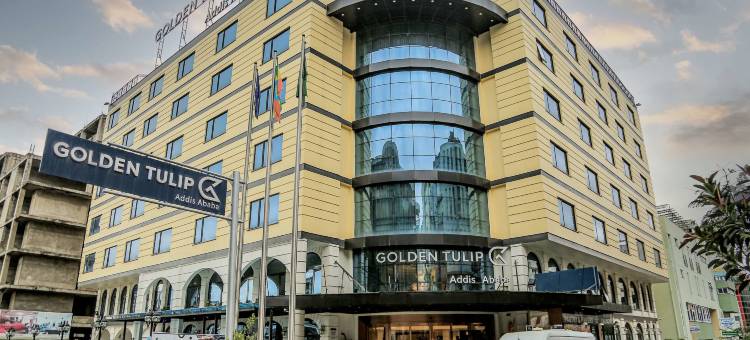 亚的斯亚贝巴金色郁金香酒店(Golden Tulip Addis Ababa)图片