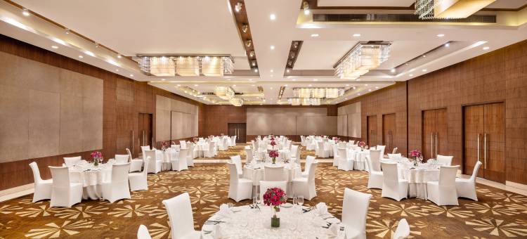 大诺伊达皇冠假日酒店(Crowne Plaza Greater Noida)图片