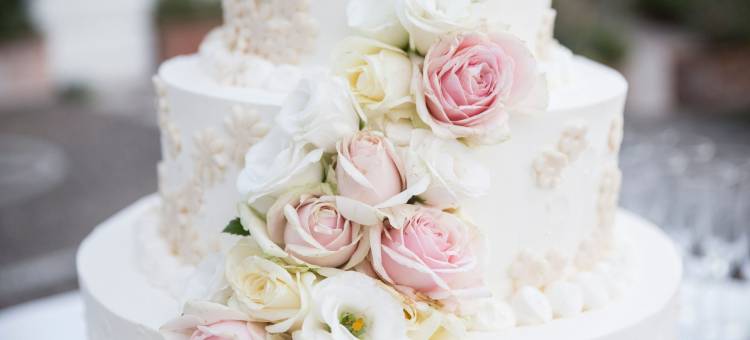 芝加哥北岸威斯汀酒店(The Westin Chicago North Shore)图片