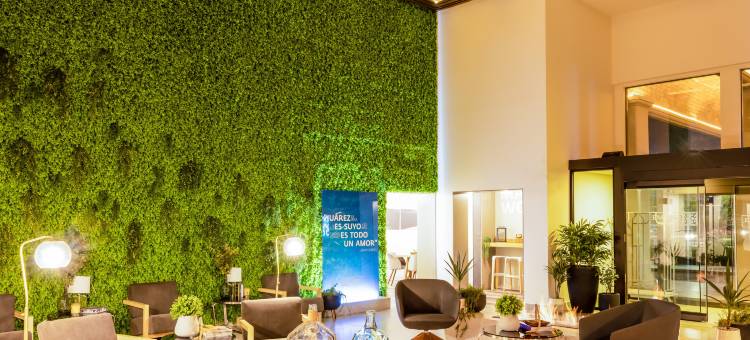 伽玛城华雷斯酒店(Gamma Ciudad Juarez)图片