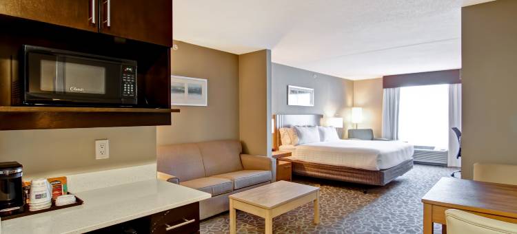 奥沙瓦市中心多伦多地区智选假日套房酒店(Holiday Inn Express & Suites Oshawa Downtown - Toronto Area)图片