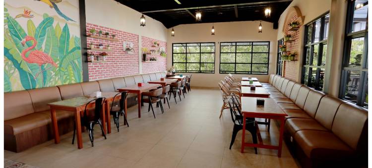 宾客酒店(Guest Hotel)图片