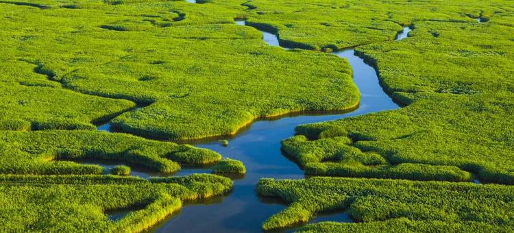 荣之星宾馆(盘锦红海滩店)图片