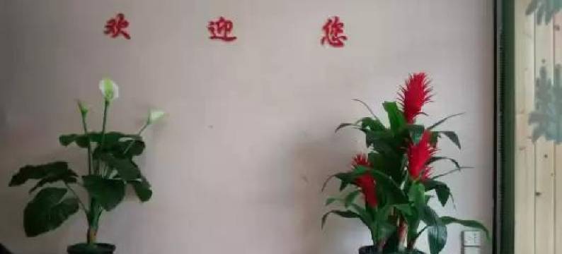 内江宾洲客栈图片