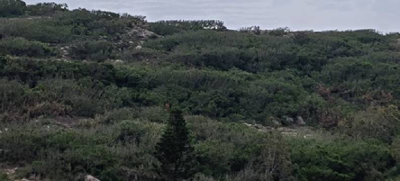 岚岛小居公寓(环岛东路2号分店)图片