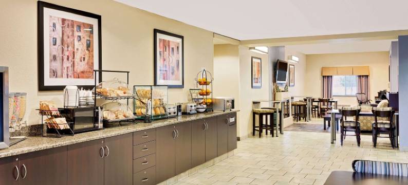 日内瓦麦客达套房酒店(Microtel Inn & Suites by Wyndham Geneva)图片