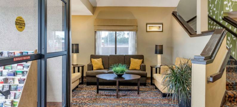 舒眠酒店-萨凡纳北95号州际公路(Sleep Inn I-95 North Savannah)图片