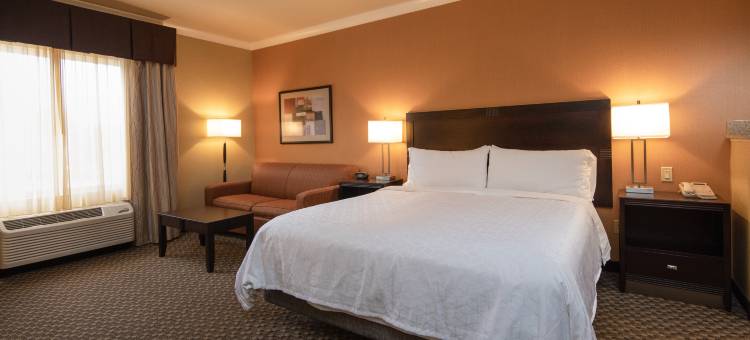 卡斯特罗谷智选假日酒店(Holiday Inn Express Castro Valley)图片