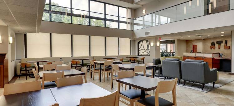 亚特兰大玛丽埃塔德鲁里套房酒店(Drury Inn & Suites Atlanta Marietta)图片