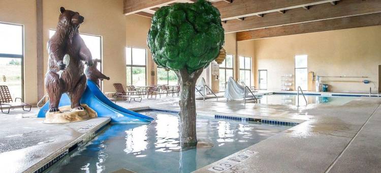 布莱克里弗福尔斯I-94舒适套房酒店(Comfort Inn & Suites Black River Falls I-94)图片