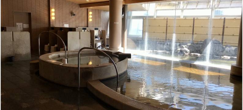 大阪城广场(City Plaza Osaka)图片