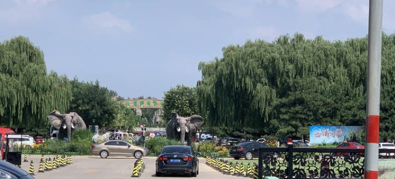 MS公寓(滨湖东街分店)图片