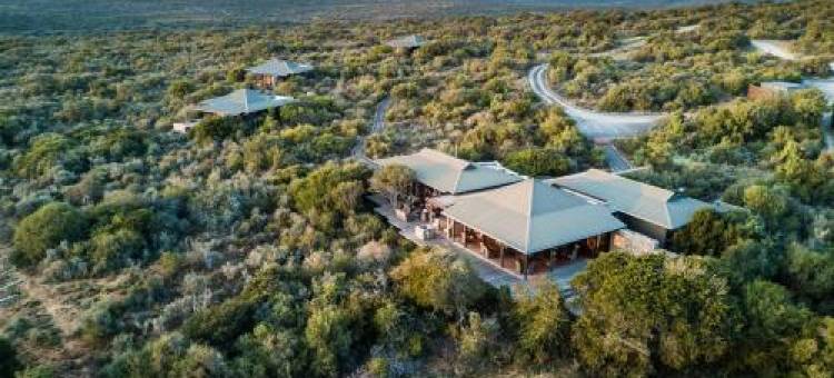 卡瓦德艾卡小屋酒店(Kwandwe Private Game Reserve - Ecca Lodge)图片