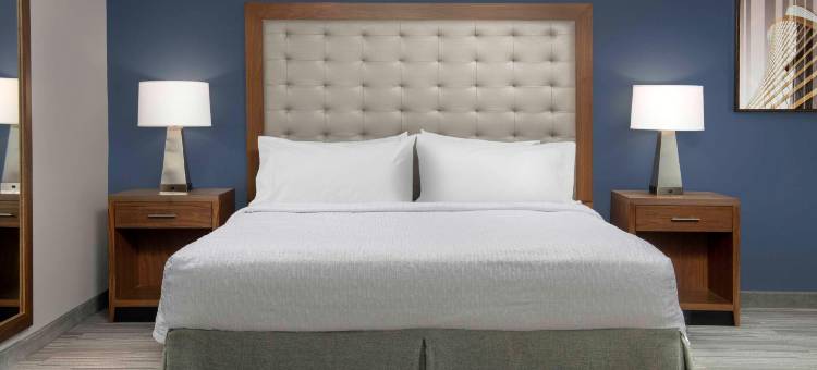 希尔顿家庭套房格林维尔，NC(Homewood Suites by Hilton Greenville)图片