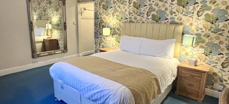 蓝色钢琴旅馆(The Blue Piano Guesthouse)图片