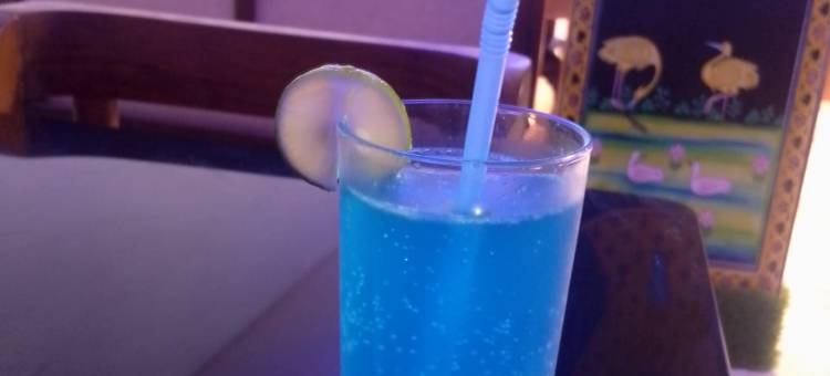 蓝柠檬酒店(Hotel Blue Lemon)图片
