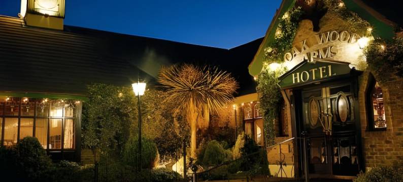 特雷希斯奥克伍德酒店(Treacys Oakwood Hotel, Shannon)图片