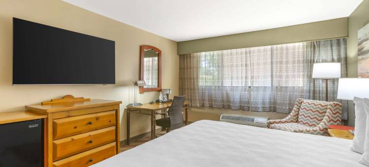 格里奥格兰德贝斯特韦斯特优质酒店(Best Western Plus Rio Grande Inn)图片