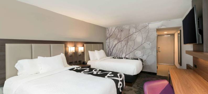 莫比尔拉昆塔温德姆套房酒店(La Quinta Inn & Suites by Wyndham Mobile)图片