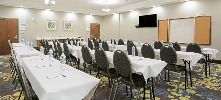 莫纳汉斯I-20智选假日套房酒店(Holiday Inn Express & Suites Monahans I-20)图片