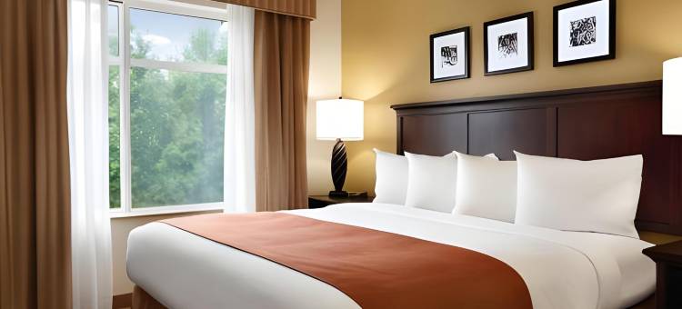 Spark by Hilton Sumter图片