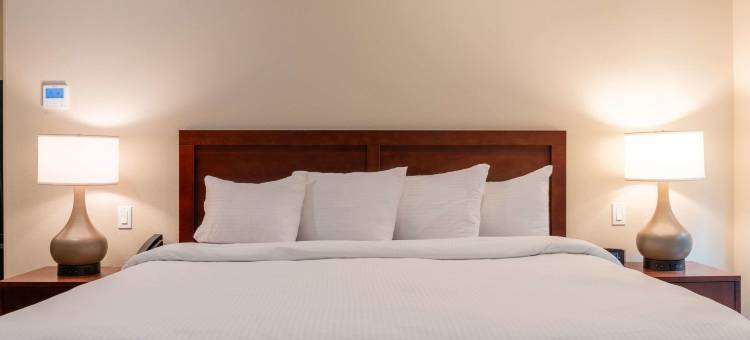 白山钱德勒酒店-阿桑德连锁酒店会员(The Chandler at White Mountains, an Ascend Hotel Collection Membe)图片