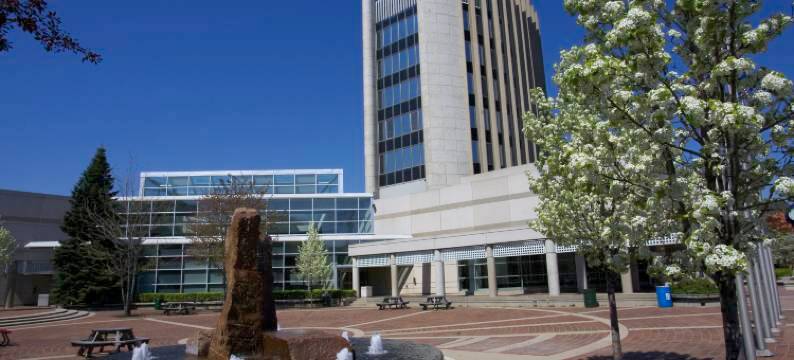 伯灵顿烛木套房酒店(Candlewood Suites BURLINGTON CONFERENCE CENTRE by IHG)图片