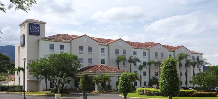 福朋喜来登酒店-圣何塞-哥斯达黎加(Four Points by Sheraton San Jose Costa Rica)图片